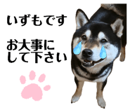 822787403
