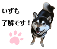 822787416