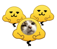 822790838