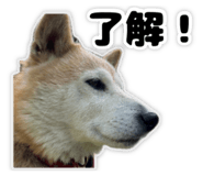 822790874
