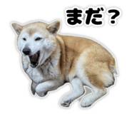 822790876