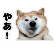 822790898