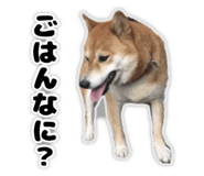 822790899