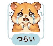 822802174