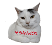 822807396