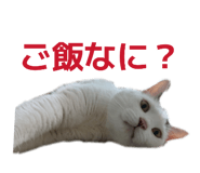 822807397