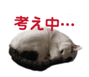 822807402