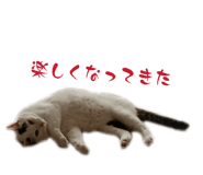 822807404