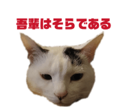 822807405