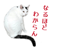 822807407