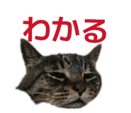 822807416