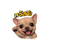 822816801