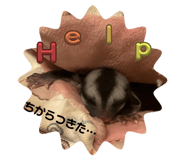 822822960