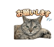 822824019
