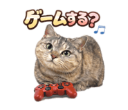 822824024