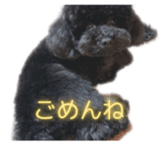822827902
