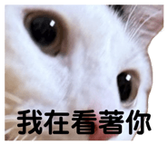 822851477