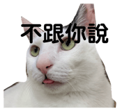 822851480