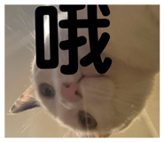 822851483