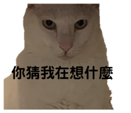 822851484