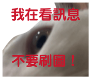 822851485