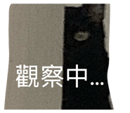 822851486
