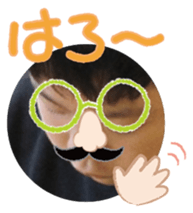 822878780