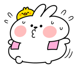 ลายที่ 41