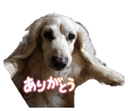 822901987