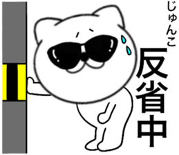 82290299
