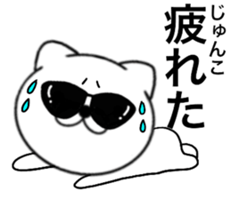 82290325