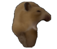 822907783