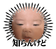 822926566