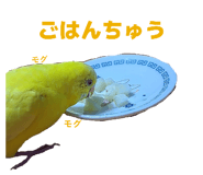 822950835