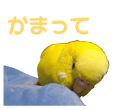 822950838