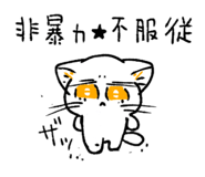 822973155