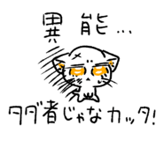 822973157