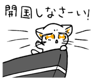 822973161