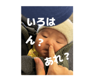 822985204