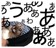 822993832