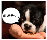 823018036