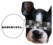 823018045