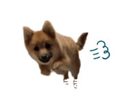 823030526