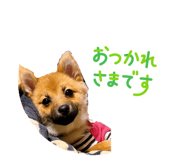 823030528