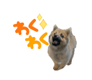 823030535