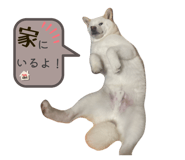 823033167