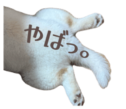 823033168