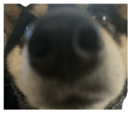 823033735