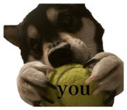 823033744