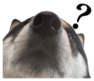 823033754